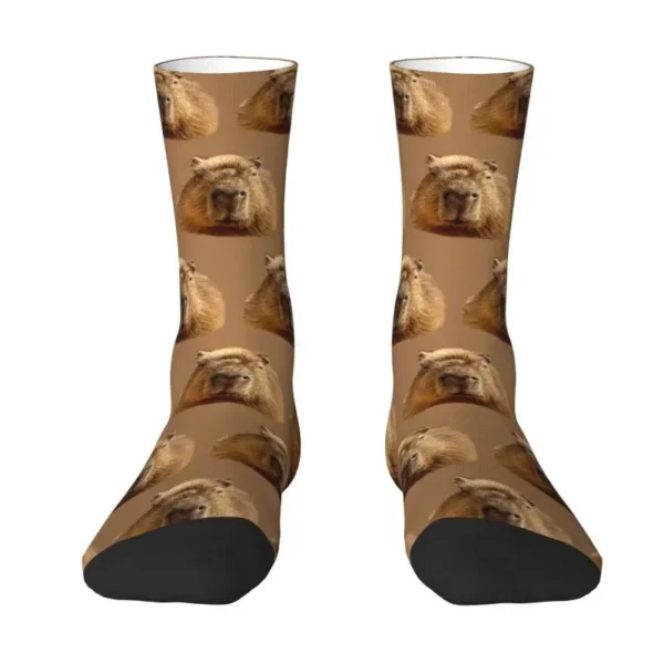 Capybara Dozing In The Sunshine Printing Men's Crew Socks Unisex Cool 3D Printing Dress Socks