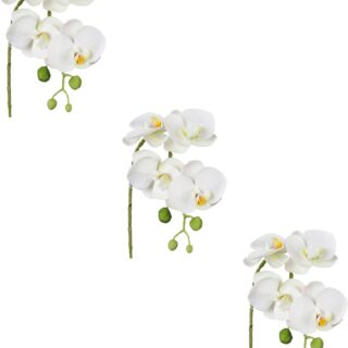 Creativ green Kunstblume "Phalaenopsis 3D-print", mit Real-Touch-Blüten